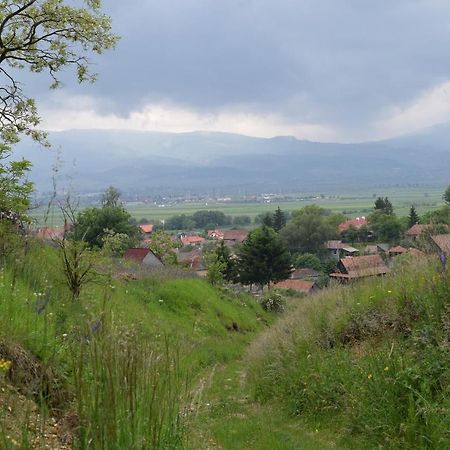 Birdsong Cottage - Peaceful Country Retreat Păuleni-Ciuc المظهر الخارجي الصورة