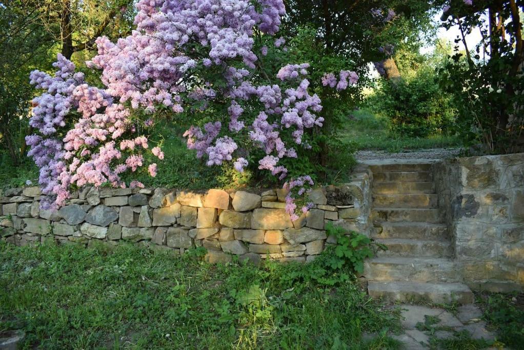 Birdsong Cottage - Peaceful Country Retreat Păuleni-Ciuc المظهر الخارجي الصورة