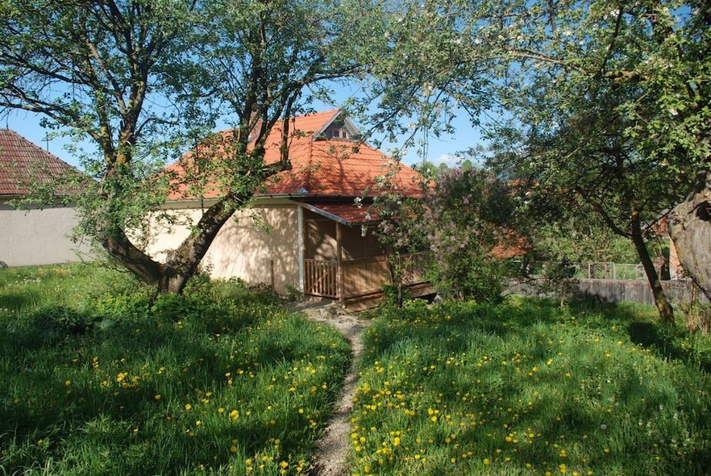 Birdsong Cottage - Peaceful Country Retreat Păuleni-Ciuc المظهر الخارجي الصورة