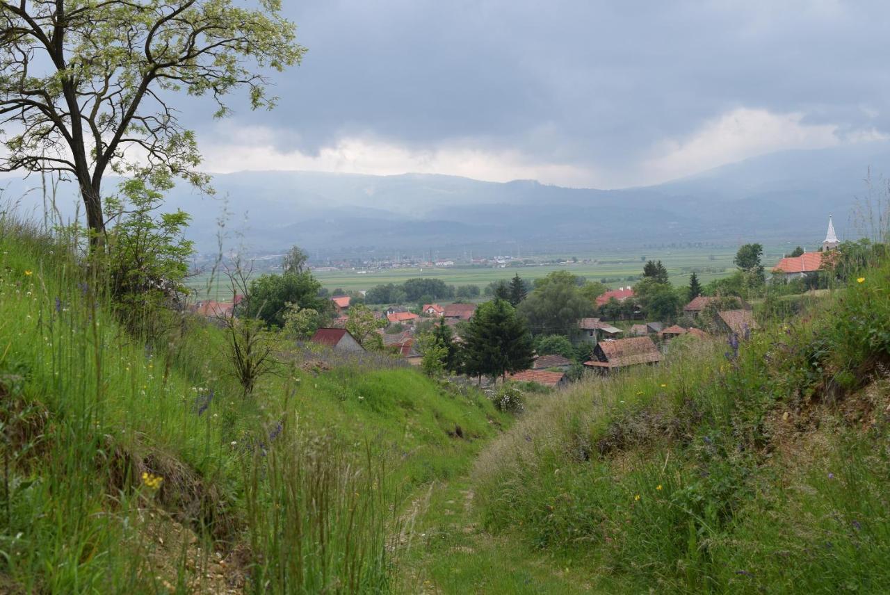 Birdsong Cottage - Peaceful Country Retreat Păuleni-Ciuc المظهر الخارجي الصورة